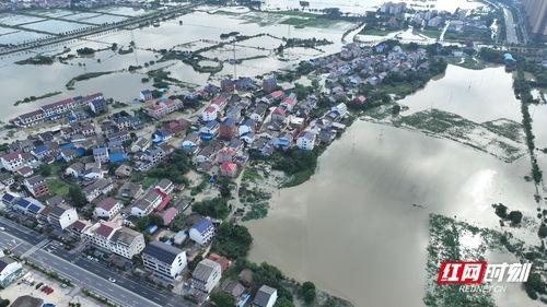 汨罗最新爆料,揭秘背后惊人真相